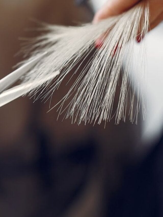 image of gray hair getting cut at the salon