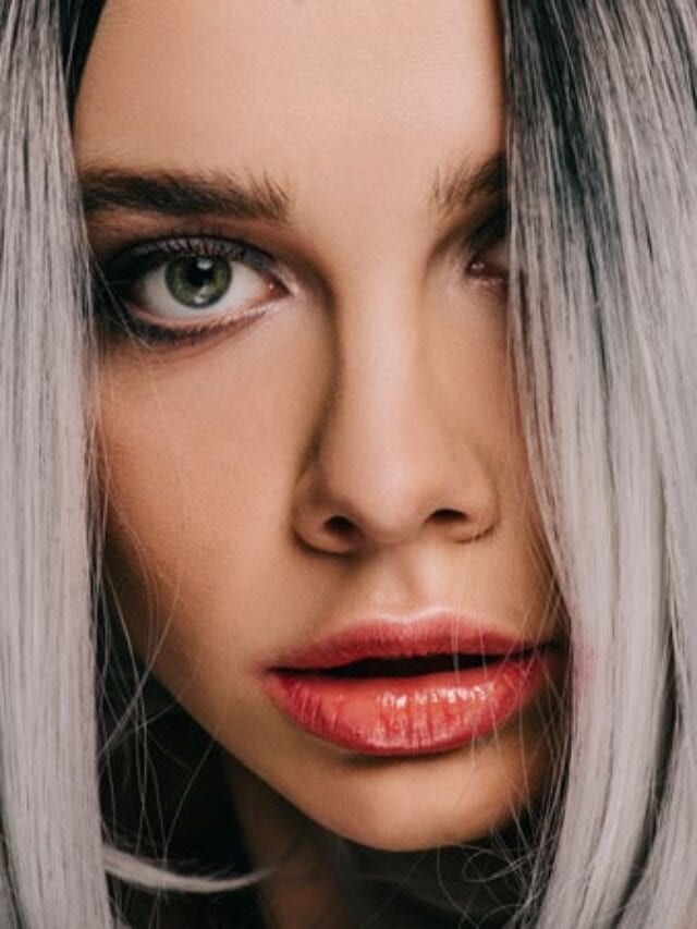 A Gray Hair Glossary for Silver Sisters