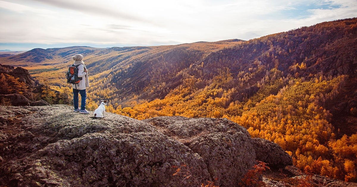 image of woman looking into vast Fall landscape